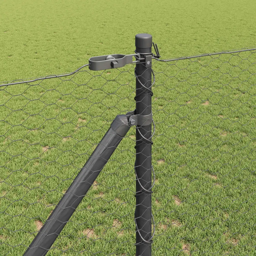Palo della recinzione Grigio 50 x 1,2 m (25 mm rete)