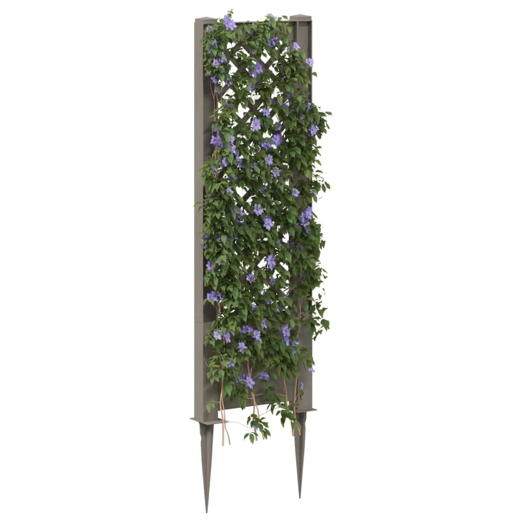 Trellis con Punta PP Grigio 42041741