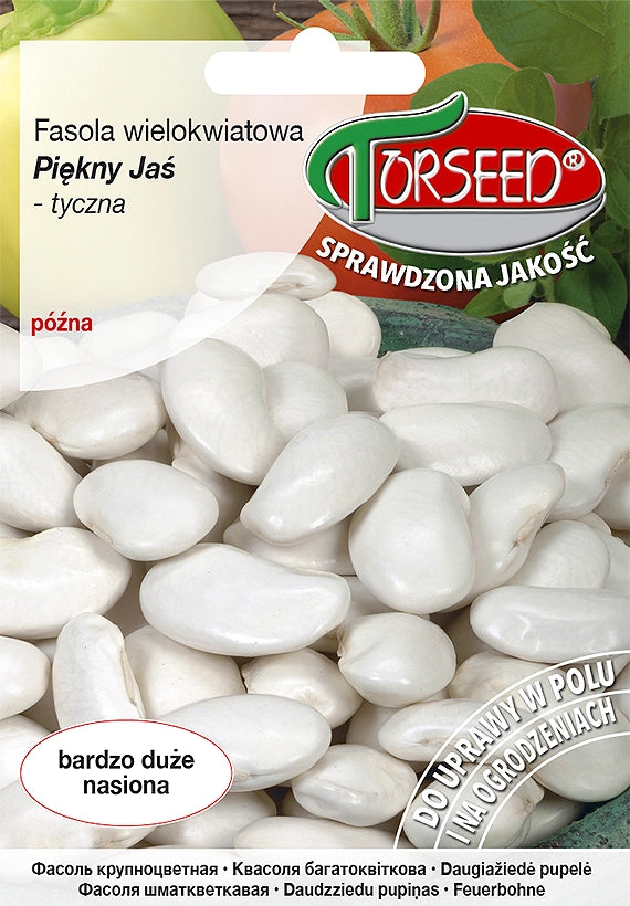 Fagioli rampicanti Piękny Jaś 40g