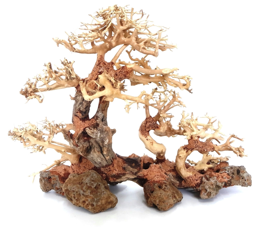 DecorLine Triple Bonsai Wood misura Small cm25x20x10h