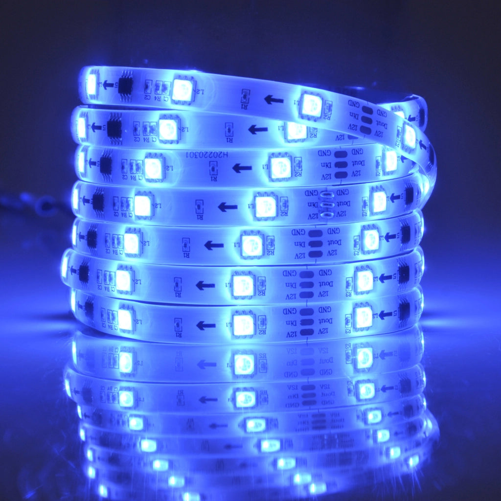 Kit striscia LED MAGIC RGB 5m 12V IP65 con telecomando