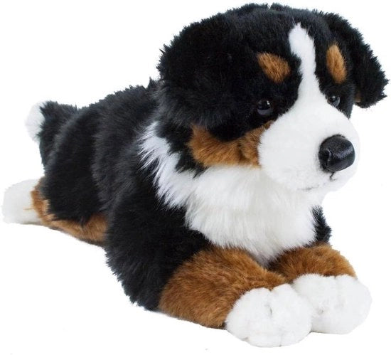 Cane da Montagna Bernese - Seduto - 38 cm