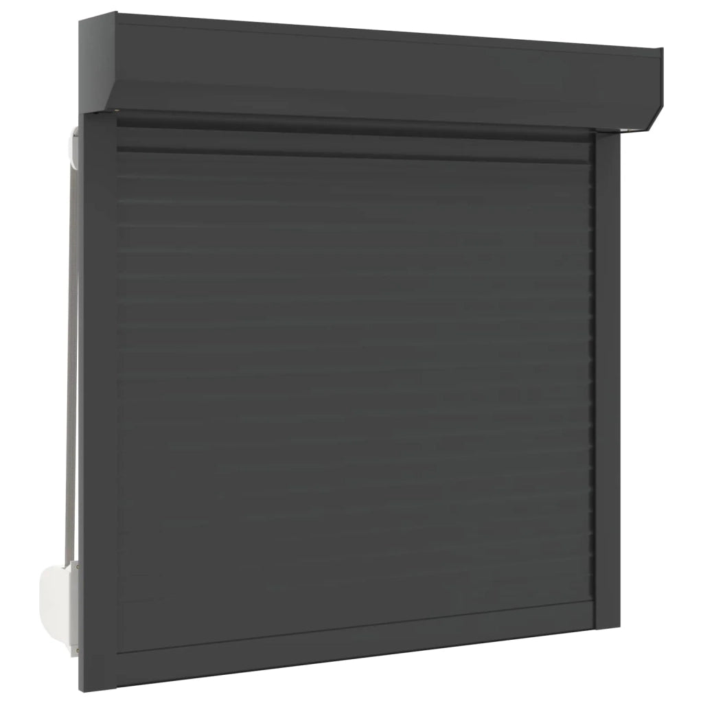Persiana a rullo Antracite 100 x 100 cm Alluminio e poliuretano 42047065