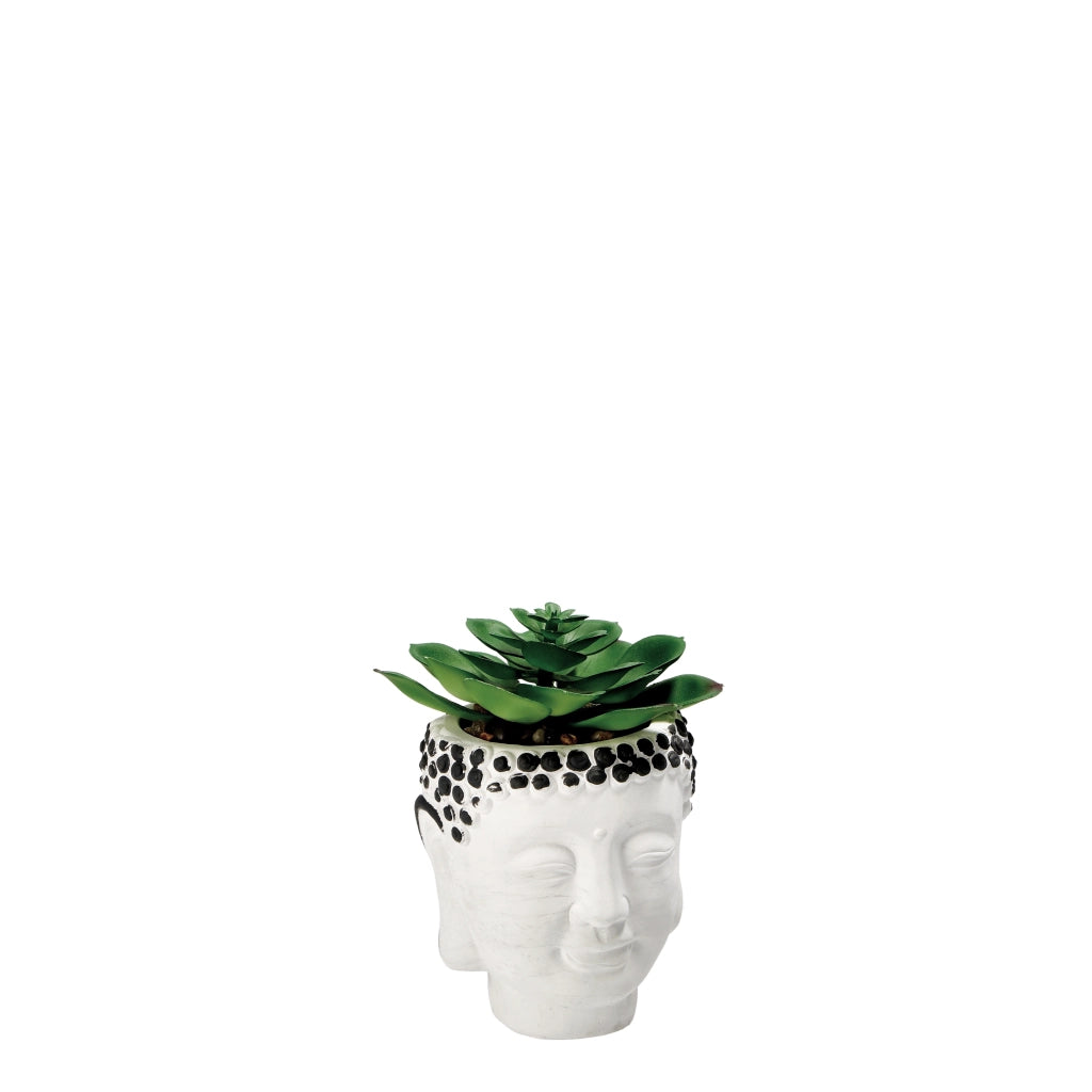 VASO CON PIANTA GRASSA DECORATIVA D.9XH13CM IN 2 C