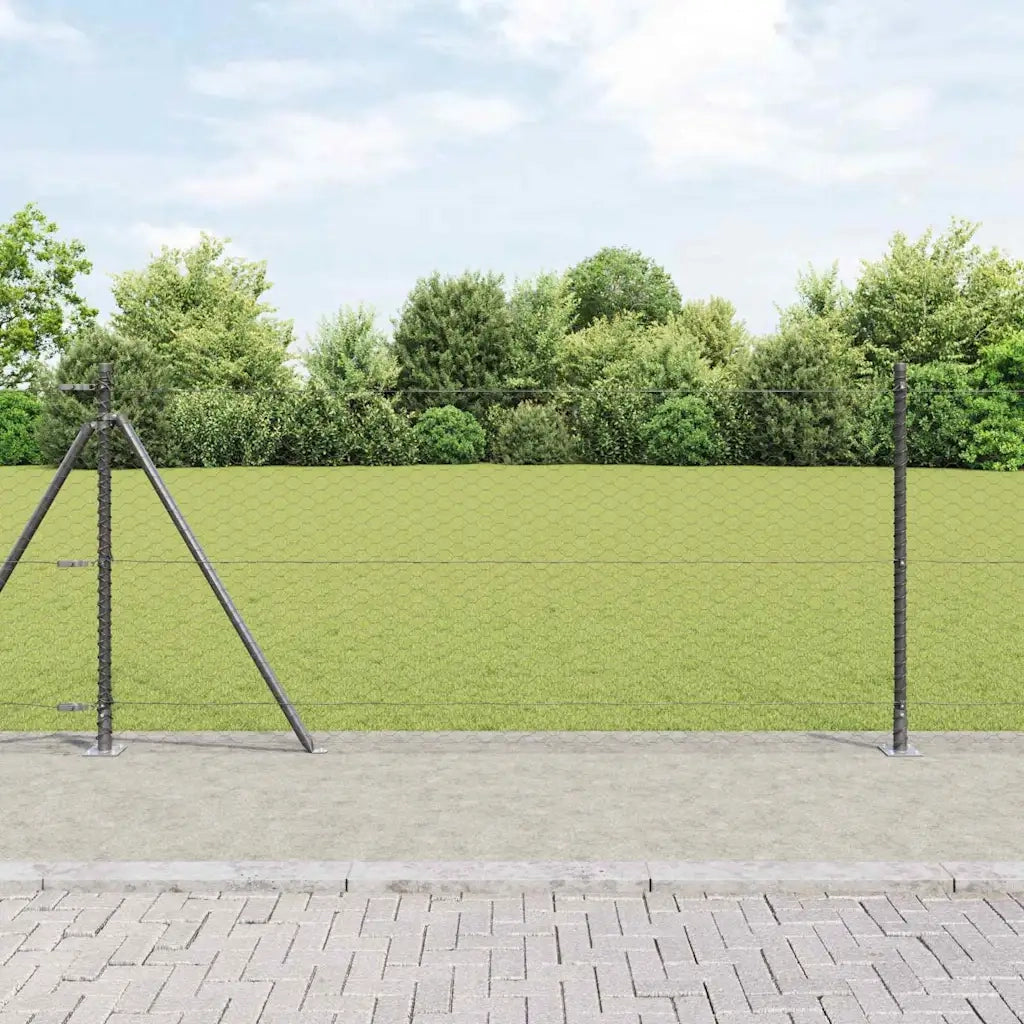 Palo della recinzione Grigio 100 x 0,8 m (rete da 36 mm)