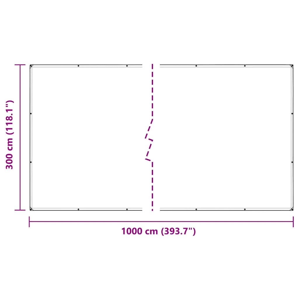 Telone Trasparente con Occhielli 3x10 m in Polietilene