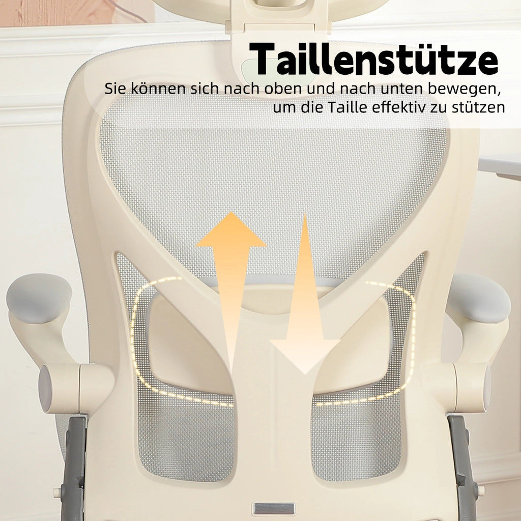 Sedia da ufficio ergonomica ¨C zephmum ¨C grigio