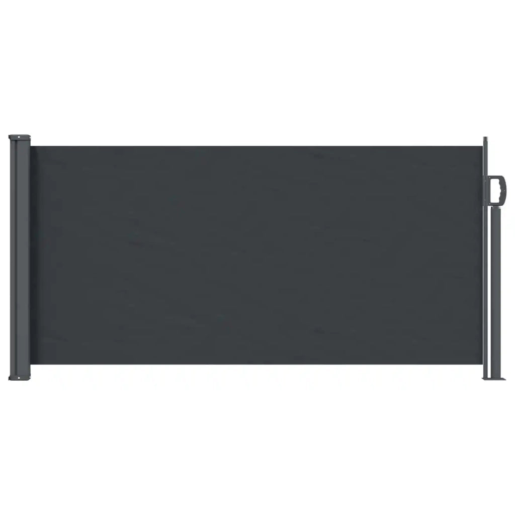 Tenda da Sole | Tenda laterale retrattile Nero 300 x 100 cm Poliestere