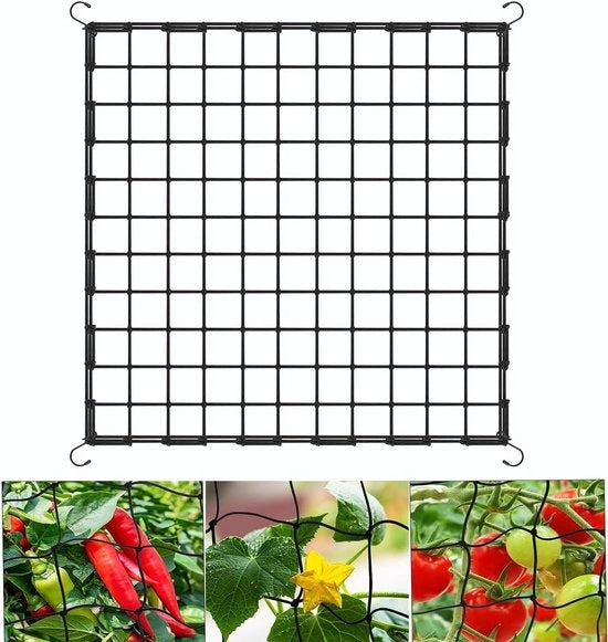 Reticolo da 120 x 120 cm con rete elastica per piante e 4 ganci per sostenere le piante