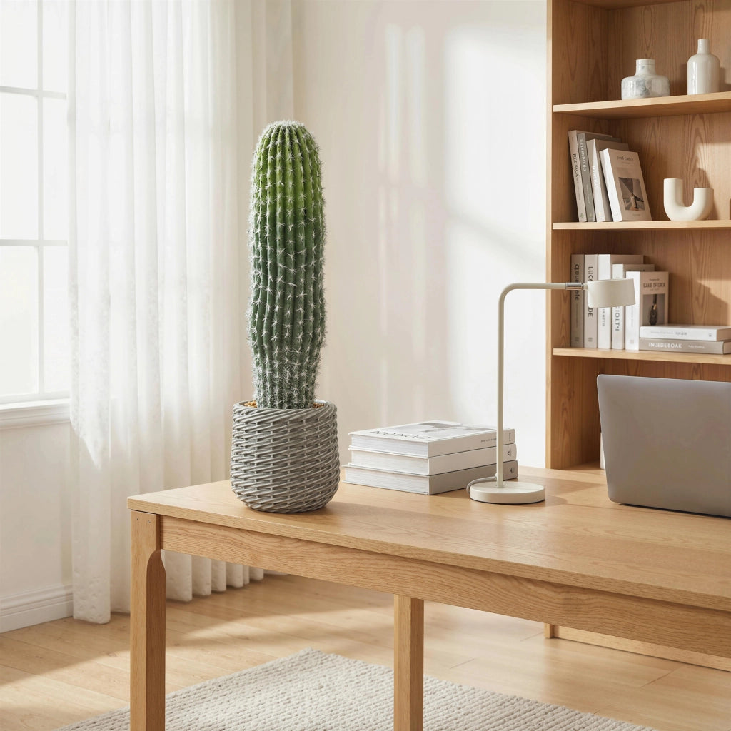 Pianta Artificiale Cactus ¨C zephmum ¨C Verde 66 cm