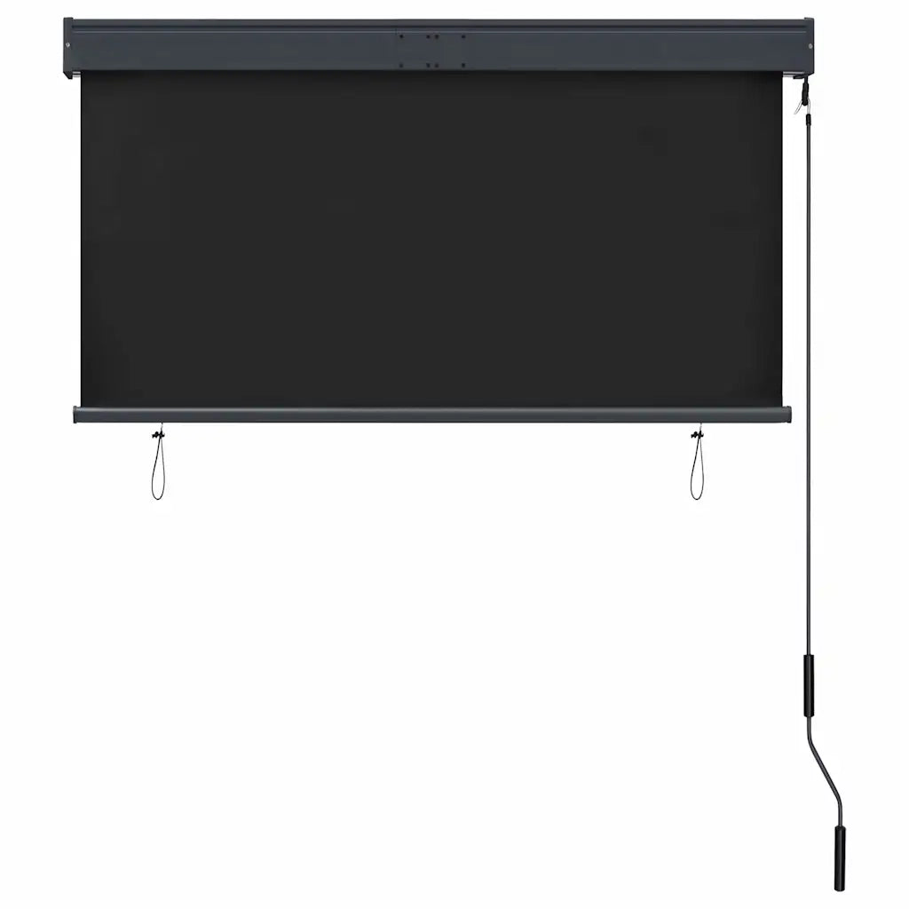 Tenda a Rullo per Esterni 120x250 cm Antracite 145964