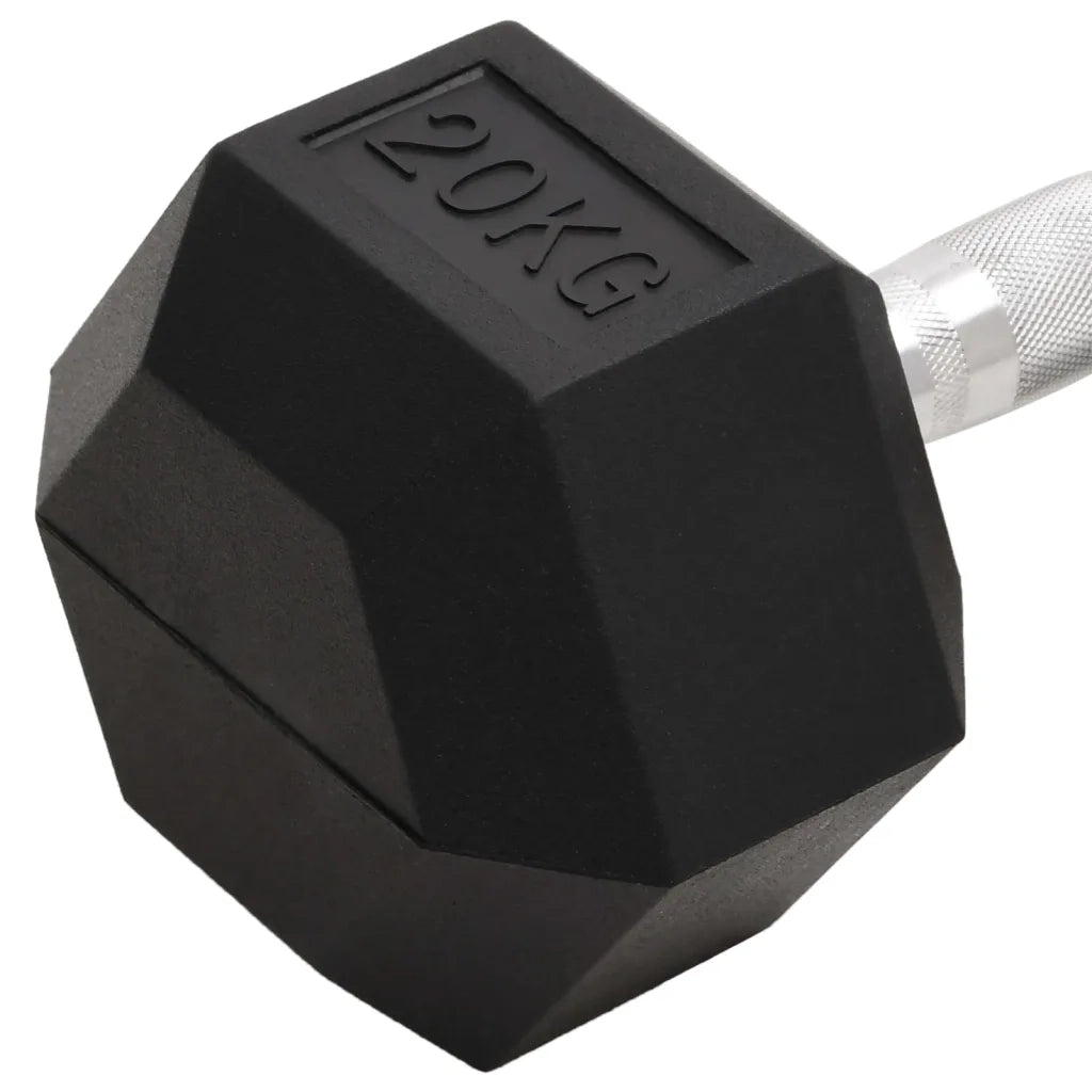 Manubrio 20 kg Ghisa 93608