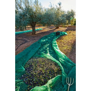 C RETE P/OLIVE ANTISPINA 80G  7X50M