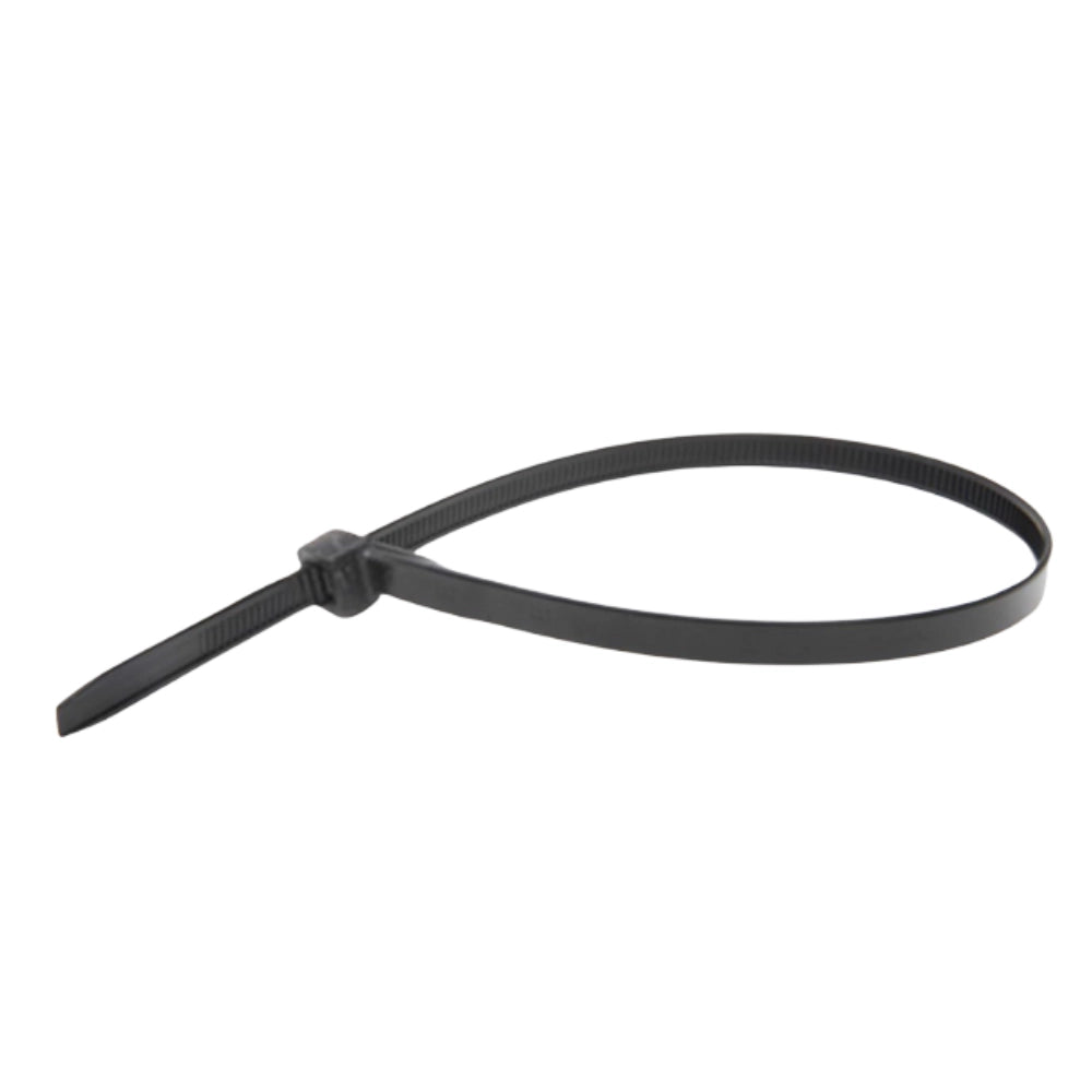 Raytech fascette per cablaggio in nylon autoestinguente confezione da 100 pezzi *** colore nero, dimensioni 2,6 x 160...