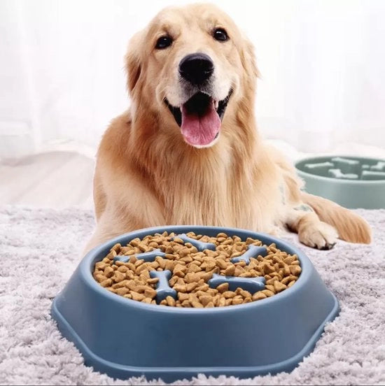 Lentotrasformatore Antischizzo per Cani e Gatti (Blu)