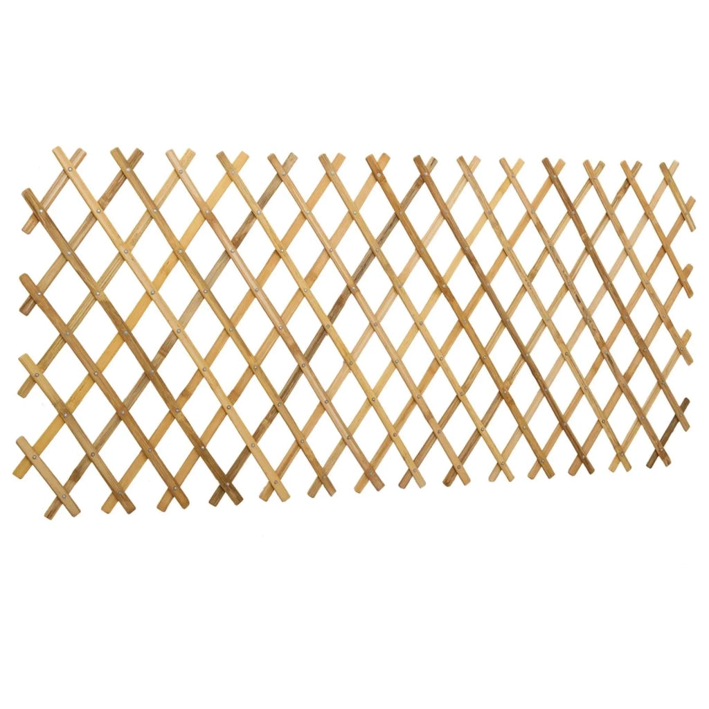 Recinto Trellis Espandibile 2 pcs Marrone Chiaro 100 x 105 cm 42028067