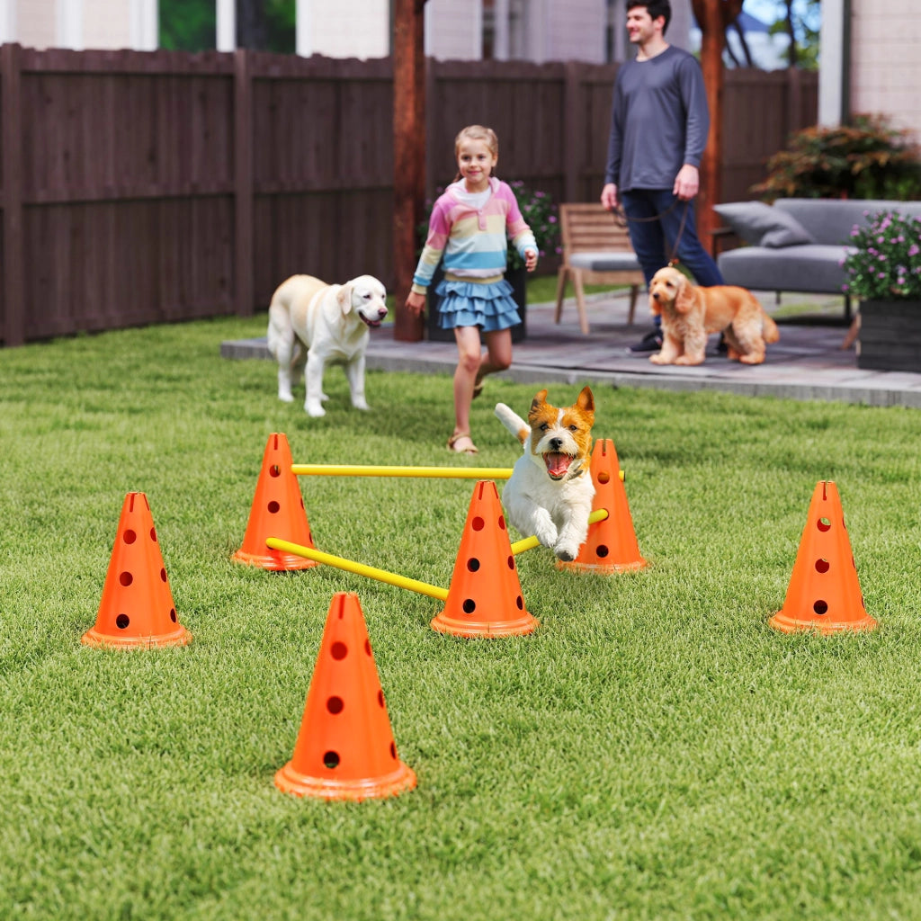Set Agility per Cani 3 Pezzi ¨C Xylo ¨C con 6 Coni 3 Ostacoli e Borsa