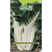 SEMENTI EXTRA_BIETA VERDE COSTA BIANCA 3