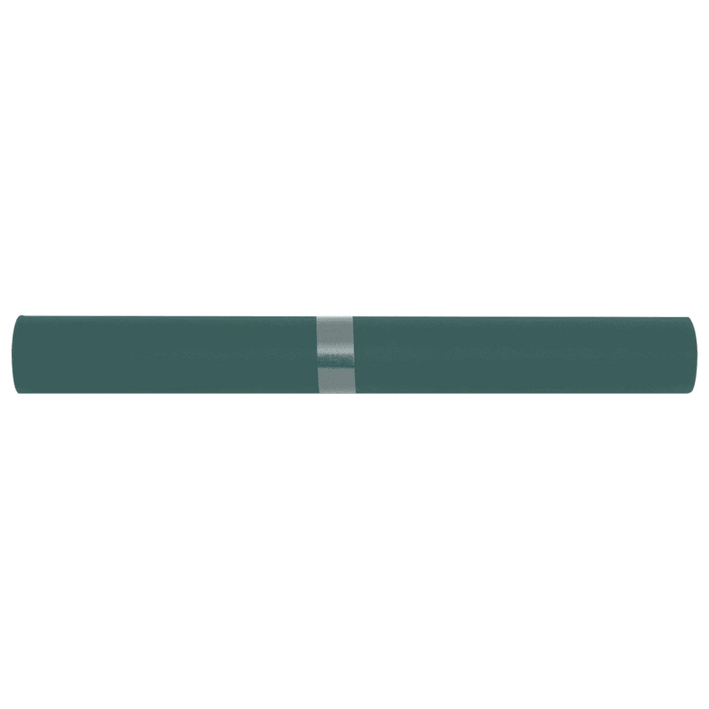Copertura per Piante 2 Rotoli 70 g/m² 10x1,6 m 3203513