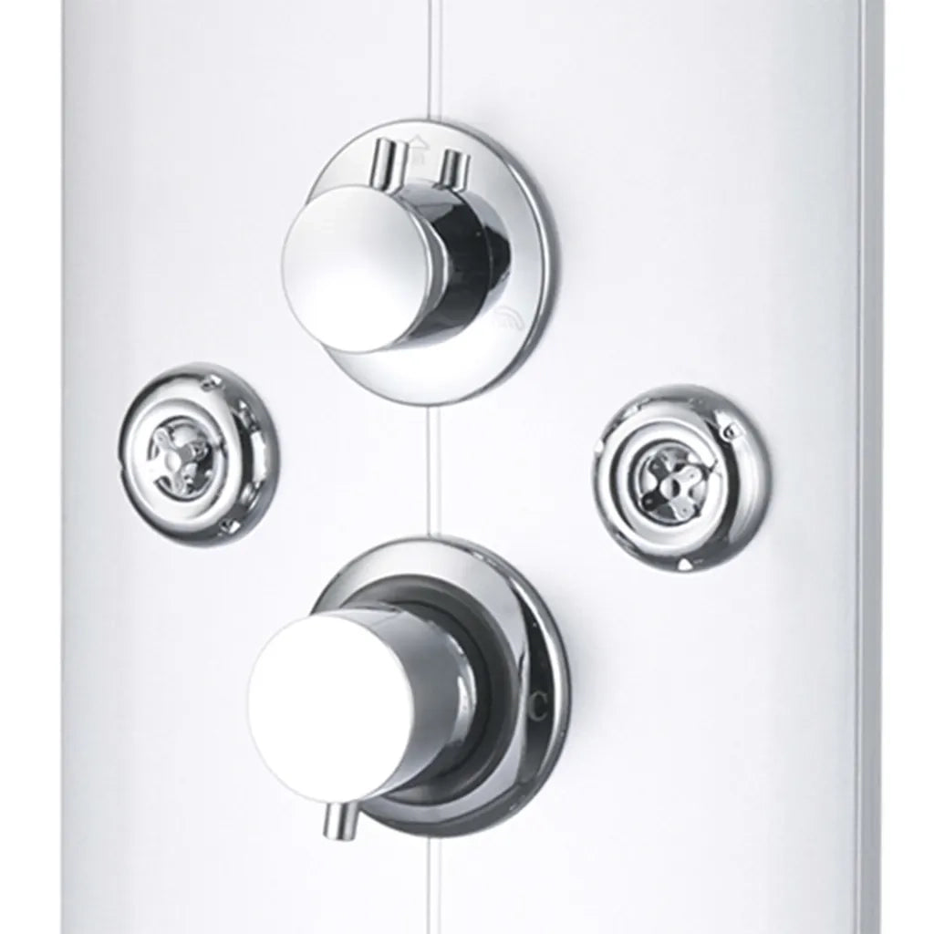 Pannello Doccia 25x43x120 cm Argento 142994