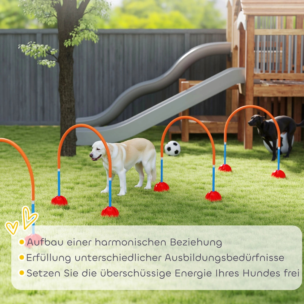 Set Agility per Cani 4 Pezzi con Porte Regolabili ¨C zephmum ¨C Blu
