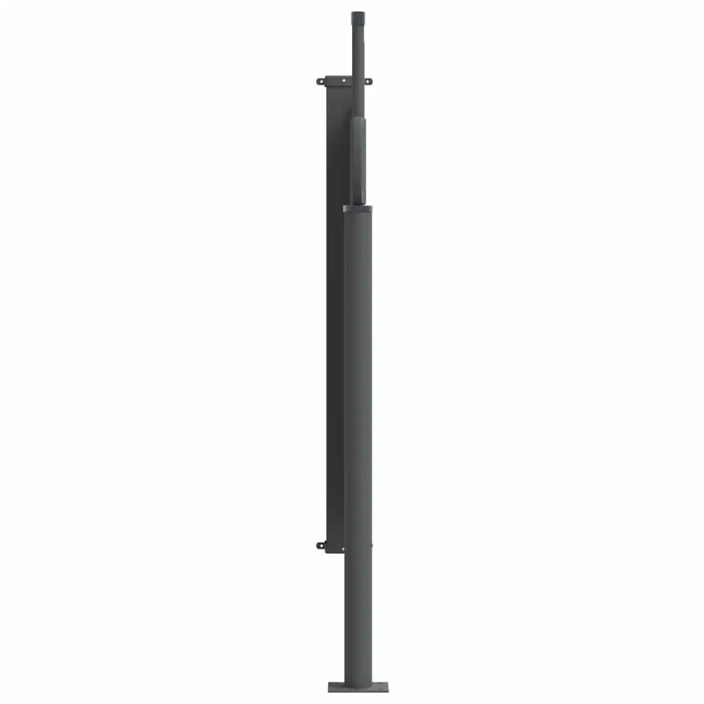 Tenda da Sole | Tenda laterale retrattile Nero 300 x 100 cm Poliestere