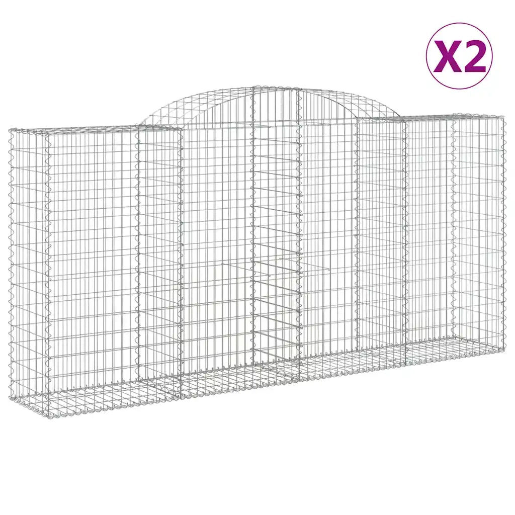 Cesti Gabbioni ad Arco 2 pz 300x50x140/160 cm Ferro Zincato
