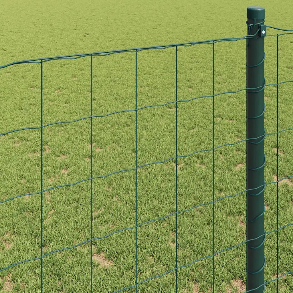Recinzione Euro Verde 1,6 x 10 m Ferro rivestito in PVC 42004361