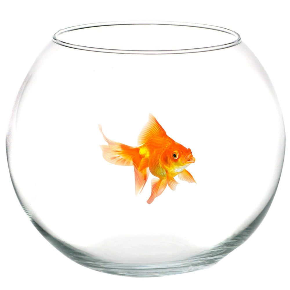 Trade Shop - Ampolla Boccia Per Pesci In Vetro 16 Cm Acquario Pesce Rosso Centrotavola -