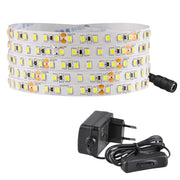 Striscia LED 3m 24V IP20 6500K alimentatore switch Polux