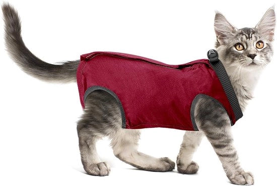Pacchetto di cura per gatti contro ferite o malattie della pelle dopo chirurgia - Collare elettronico rosso come alternativa per gatti e cani