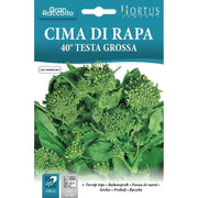 Cima di rapa 40 testa grossa Gran Raccolto