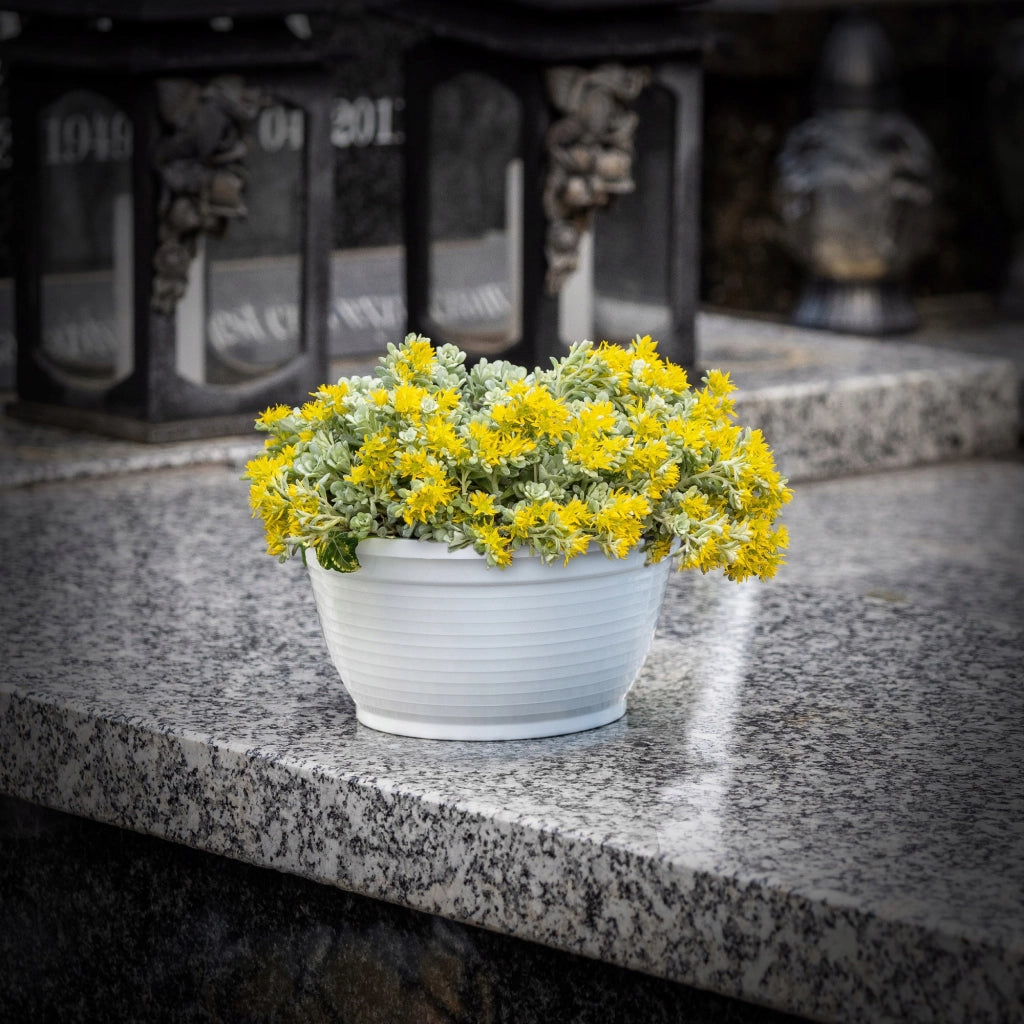 Vaso da fiori in plastica KADAX per cimitero, ideale per crisantemi, 20 cm.