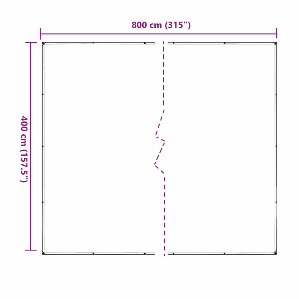 Copertura per Piante Trasparente 4 x 8 m PVC 3429354