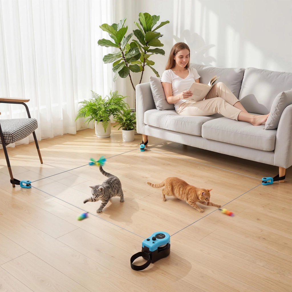 Giocattolo Automatico per Gatti ¨C Minimal ¨C Nero
