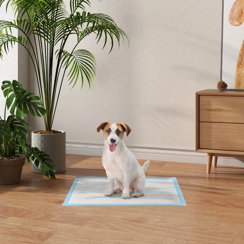 Tappetini Igienici per Cani ¨C zephmum ¨C 45x60 cm, Blu e Bianco, 100 Pezzi