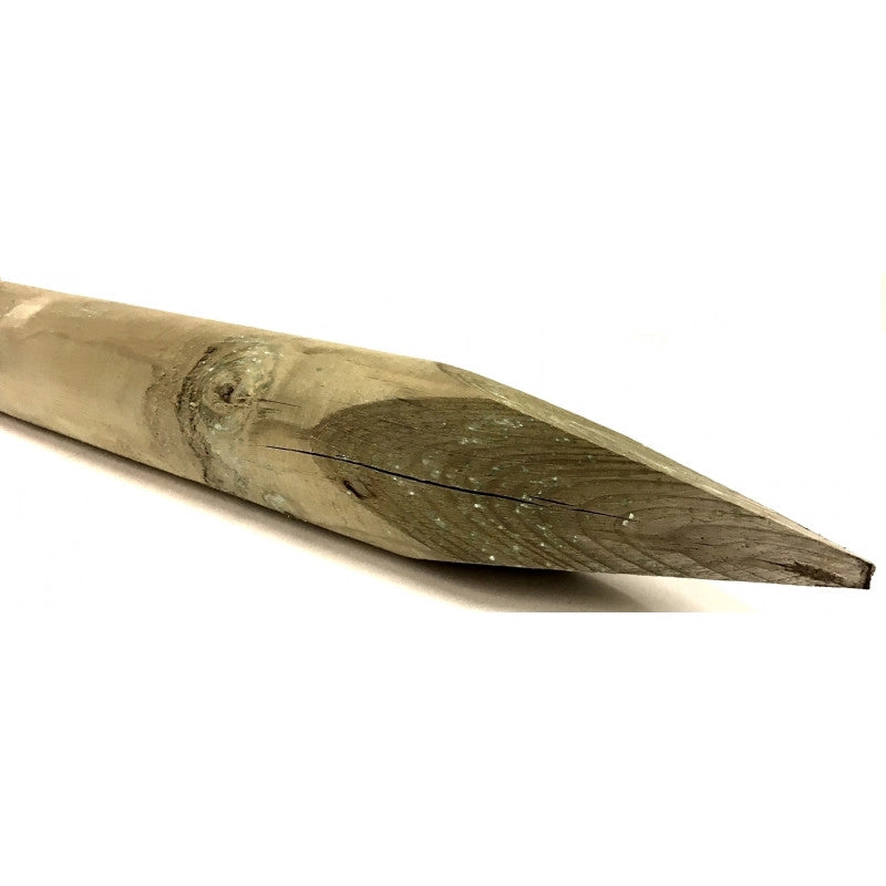 Pali in legno impregnato con punta 10 pezzi diametro 10 cm lunghezza 150 cm per recinzioni giardino - Esterni da Vivere