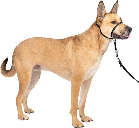 Cinturino per cane senza tiraggio con corda da 1,5 m - Soluzione definitiva contro il tiraggio - Guida il tiraggio del cane per passeggiate più facili - Aiuta a riprendere il controllo (taglia XL) - nero