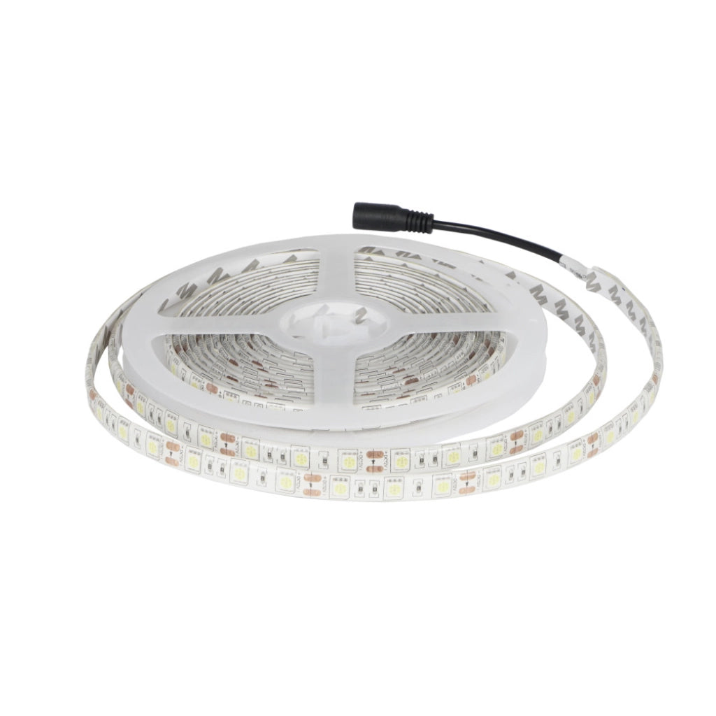 Striscia led 12v 60 led/mt IP65 colore luce blu