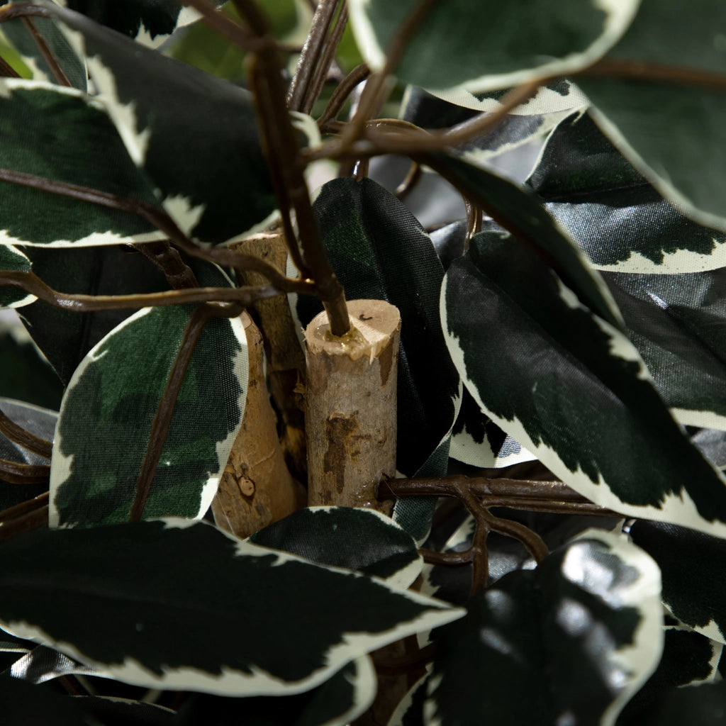 Pianta Ficus Artificiale ¨C Minimal ¨C Verde Realistico 130cm