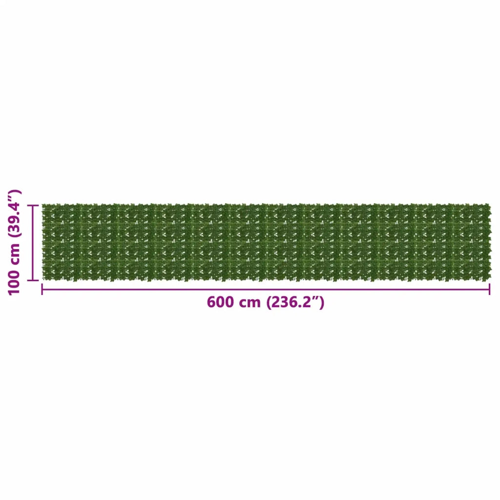 Paravento da Balcone | Schermo per balcone con foglie Verde 600 x 100 cm