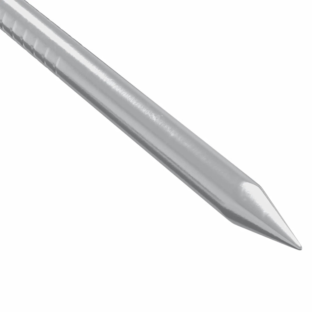 Chiodi per Legno 2 pcs Argento Ø 3 x 15 mm Metallo 864373