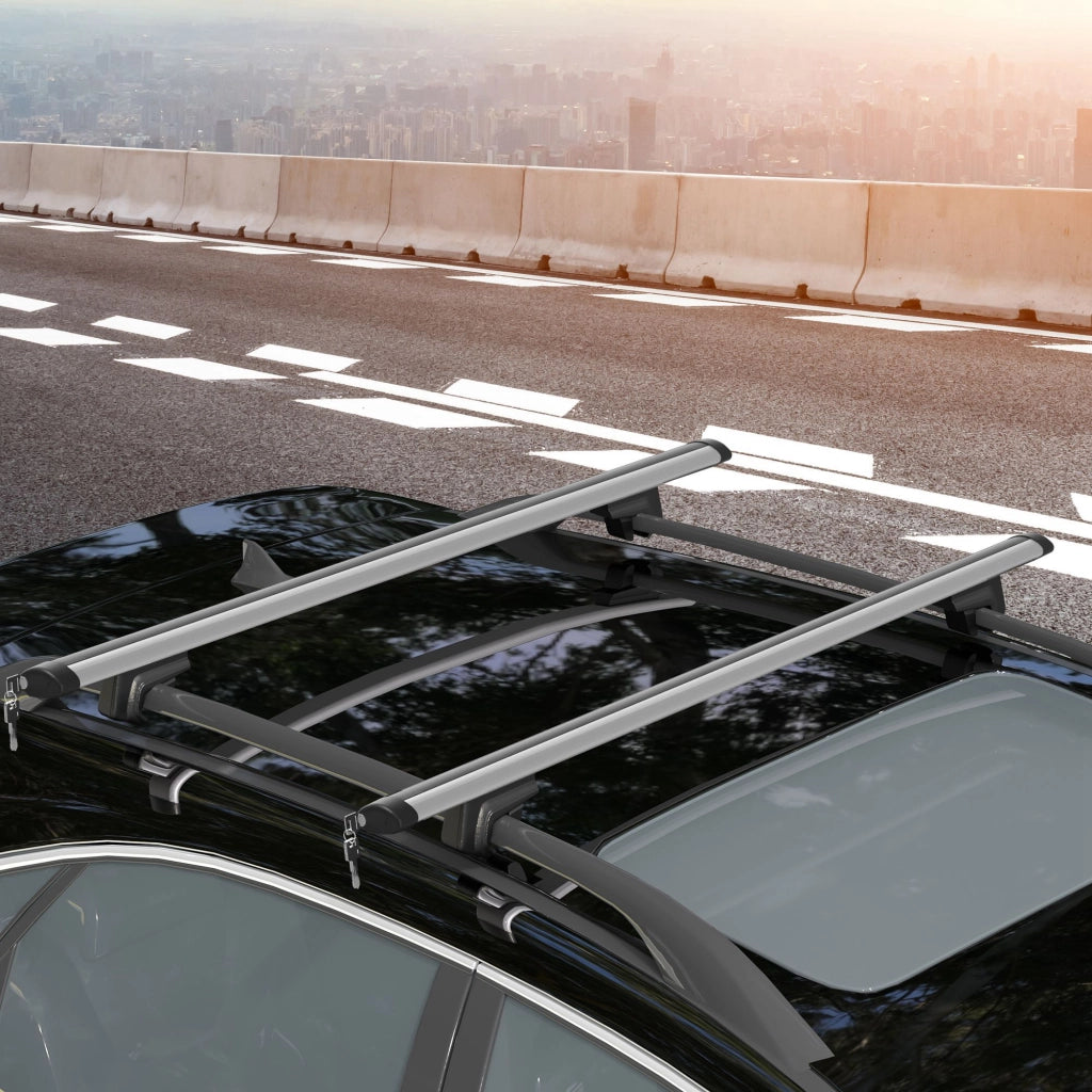 Portabagagli Universale per Auto ¨C Minimal ¨C Alluminio Argento 123,5 cm 75 kg