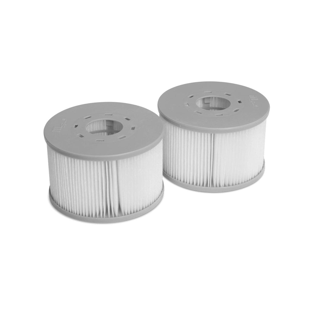 Set di 2 filtri per spa gonfiabile, grigio