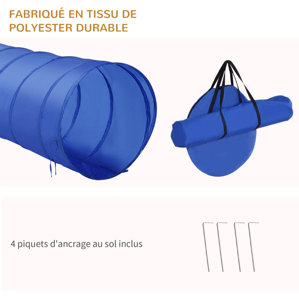 Set Agilit¨¤ per Cani ¨C Minimal ¨C Blu e Giallo