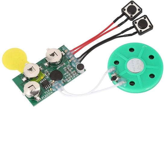 Modulo vocale 120 secondi di registrazione - Carta di voce DIY - Modulo audio - Prodotti artigianali - Interfaccia facile da usare - Batteria sostituibile
