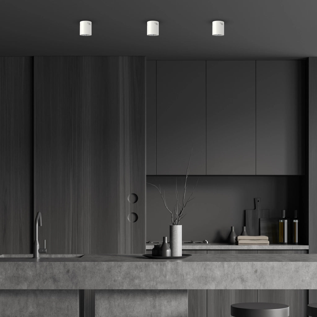 Faretto soffitto bianco tondo Ø11 E27 60W George Milagro