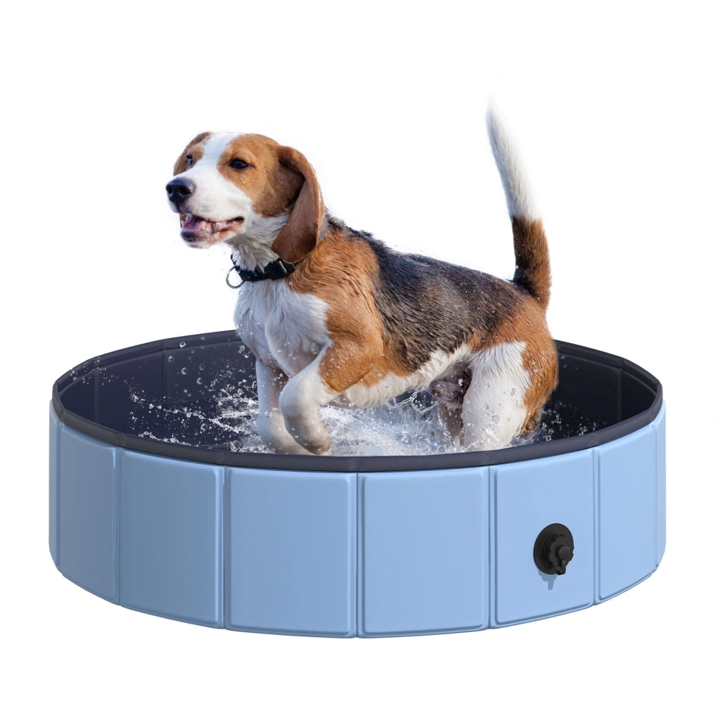Vasca Pieghevole per Cani Gatti ¨C Minimal ¨C PVC Antiscivolo ?80x20 cm Blu