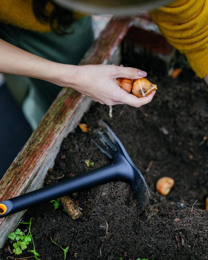 Fiskars ZAPPETTA SOLID