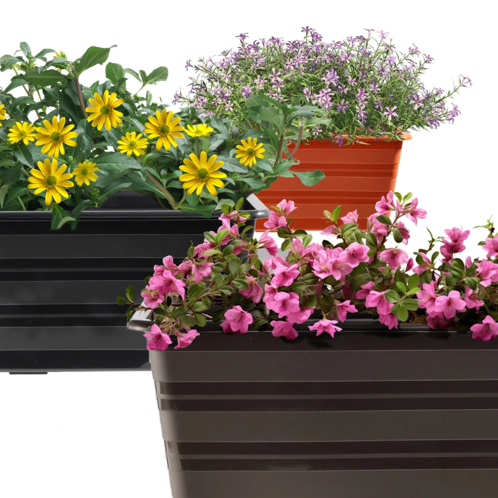 KADAX Vaso da fiori per balcone, grande, 60 cm, confezione da 6 pezzi, supporto per fiori